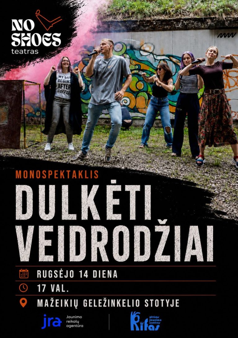  DULKĖTI VEIDRODŽIAI